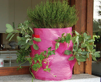 Cultivar en sacos de polietileno 